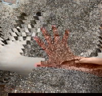 Hands of Fame Park - Accommodation Directory