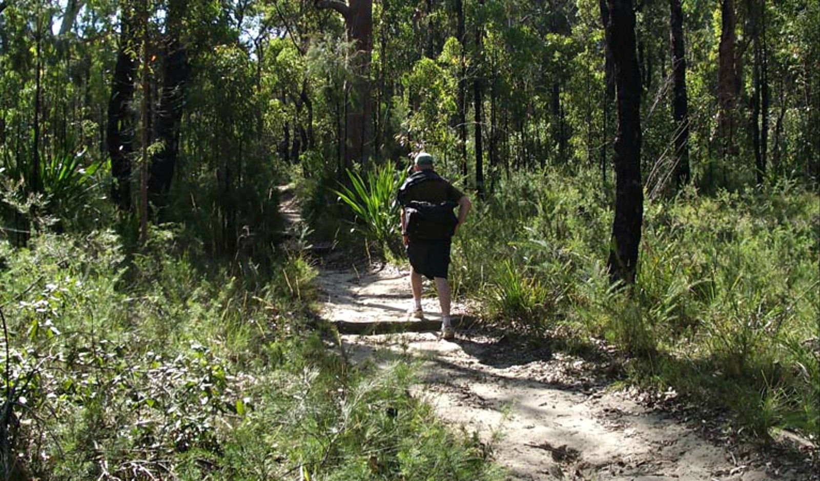 Woronora Heights NSW Accommodation Directory