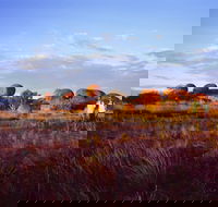 Karlu Karlu / Devils Marbles Conservation Reserve - Accommodation Directory