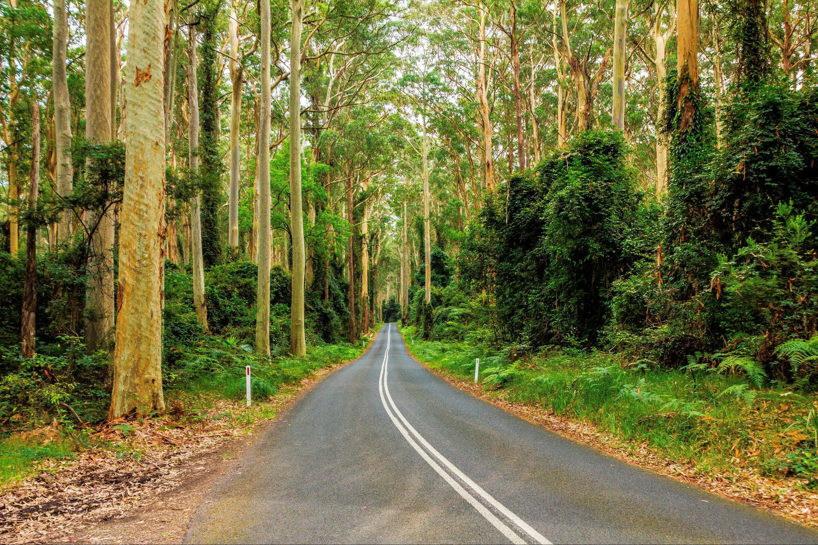 Kioloa NSW Accommodation Directory