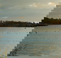 Lake Inverell Reserve - Accommodation Directory