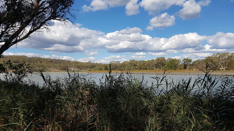 Lake Inverell Reserve - Accommodation Directory 1