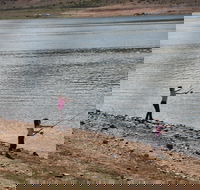 Lake Wyangala - Accommodation Directory