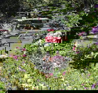 Launceston Gorge Scenic Chairlift - Accommodation Directory