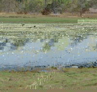 Leaning Tree Lagoon Nature Park - Accommodation Directory