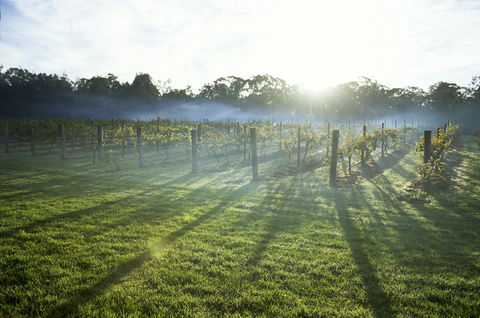 Leeton - Accommodation Directory 1