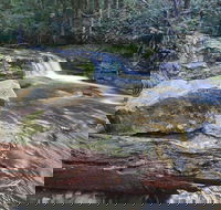Liffey Falls Reserve - Accommodation Directory