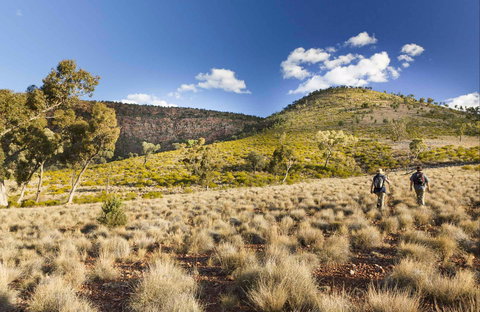Little Mountain Walking Track - Accommodation Directory 0