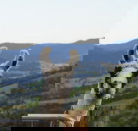 Llama Walks Tasmania - Accommodation Directory