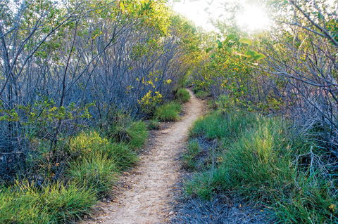 Minerva Hills National Park - Accommodation Directory 2