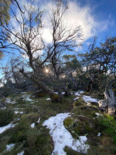Mount Torbreck Summit Walk - Accommodation Directory 0