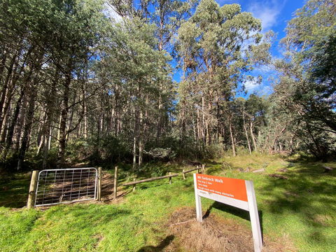 Mount Torbreck Summit Walk - Accommodation Directory 1