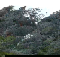 Mount Yarrowyck Nature Reserve - Accommodation Directory