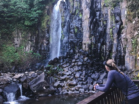 Mungalli Falls - Accommodation Directory 0