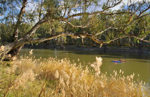 Murrumbidgee Valley National Park - Accommodation Directory 0
