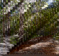 Myrtle Scrub Scenic Drive - Accommodation Directory