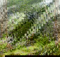 River walking track - Accommodation Directory