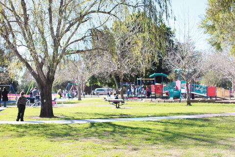 Rose Point Park: All Abilities Playground - Accommodation Directory 0