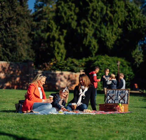 Royal Tasmanian Botanical Gardens - Accommodation Directory 0