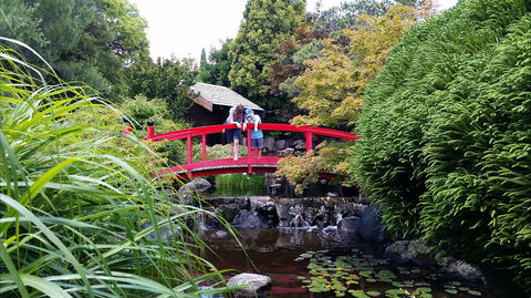 Royal Tasmanian Botanical Gardens - Accommodation Directory 1