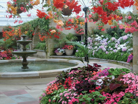 Royal Tasmanian Botanical Gardens - Accommodation Directory 2