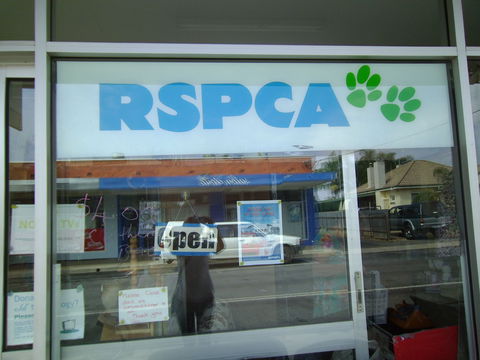 R.S.P.C.A Opportunity Shop - Accommodation Directory 0