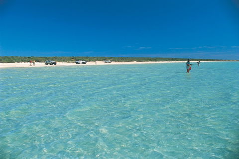 Shark Bay World Heritage Drive - Accommodation Directory 1