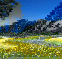 Shearer's Way - Accommodation Directory