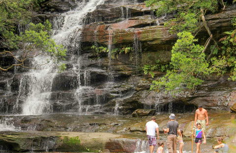 Somersby Falls Picnic Area - Accommodation Directory 0