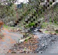Stepping Stone Crossing to Cascades Trail - Accommodation Directory