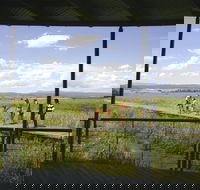 Tamar Island Wetlands Centre and Reserve - Accommodation Directory