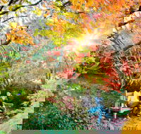 The Blue Mountains Botanic Garden Mount Tomah - Accommodation Directory