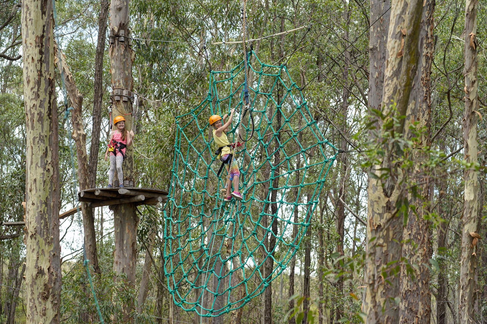 Minmi NSW Accommodation Directory