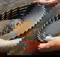Tuena Panning for Gold - Accommodation Directory