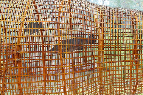 Wagirra Trail And Yindyamarra Sculpture Walk - Accommodation Directory 2