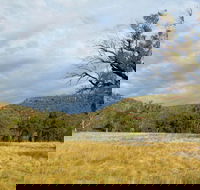 Weddin Mountains National Park - Accommodation Directory