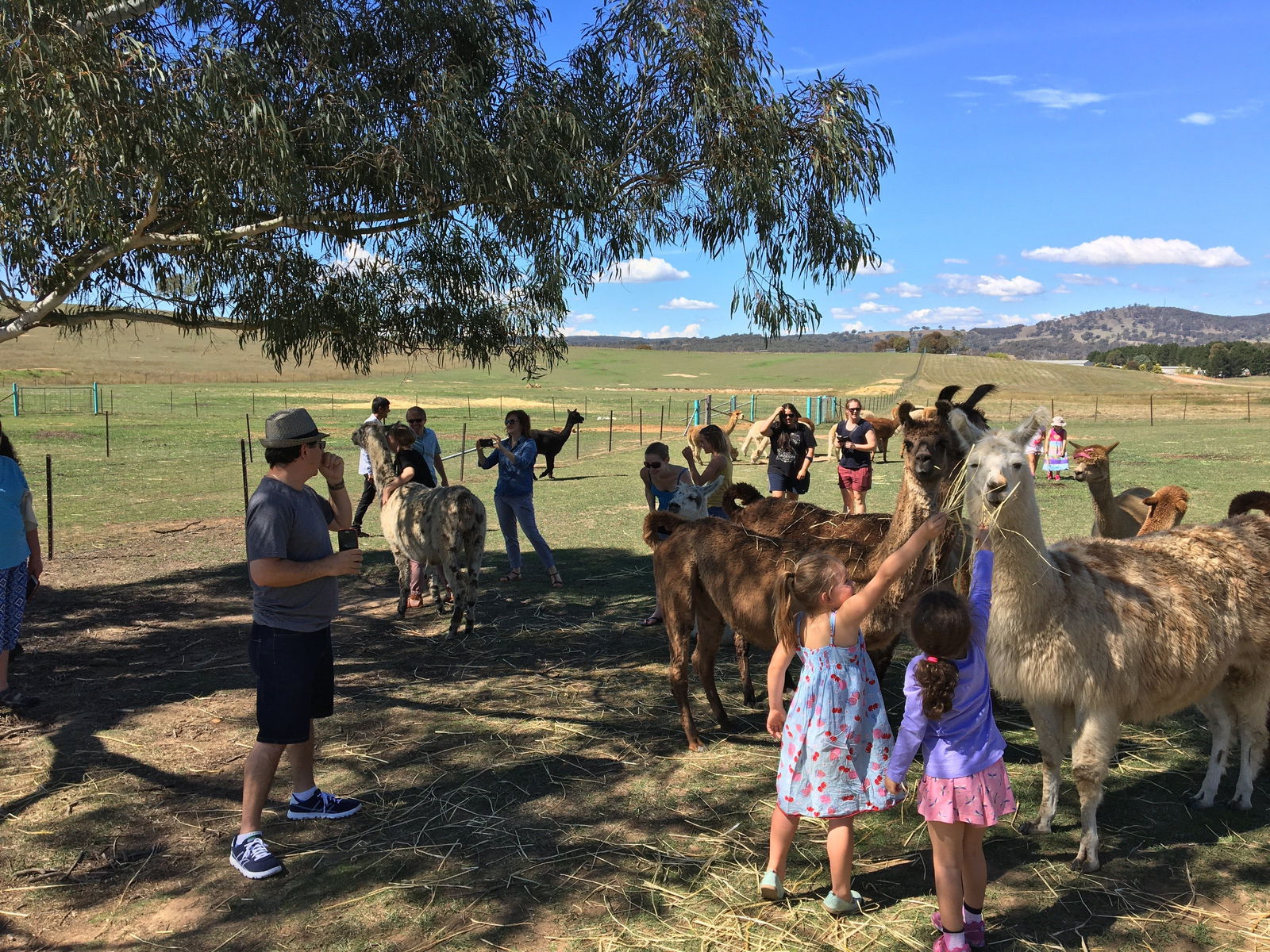 Williamsdale NSW Accommodation Directory