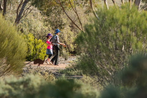 Australian Arid Lands Botanic Garden - Accommodation Directory 0