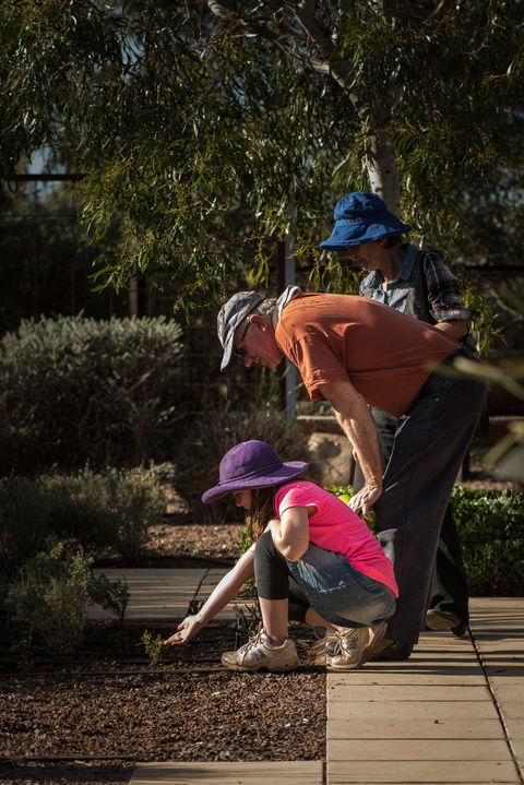 Australian Arid Lands Botanic Garden - Accommodation Directory 1