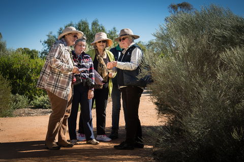 Australian Arid Lands Botanic Garden - Accommodation Directory 2