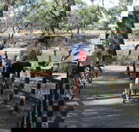 Bidgee Riverside Trail  - Hay Nature Walk - Accommodation Directory