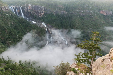 Blencoe Falls, Girringun National Park - Accommodation Directory 0