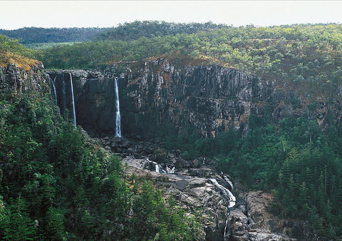 Blencoe Falls, Girringun National Park - Accommodation Directory 2