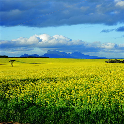 Borden - Accommodation Directory 0