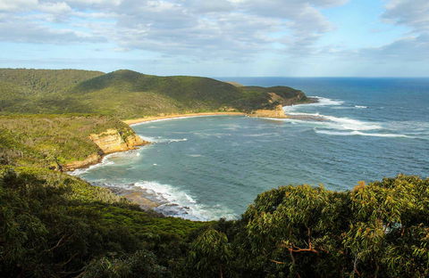 Bullimah Spur Track - Accommodation Directory 0