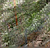 Caleys Lookout Track - Accommodation Directory