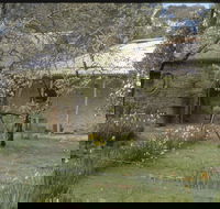 Castlemaine Diggings National Heritage Park - Accommodation Directory