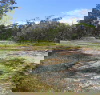 Christmas Rock Walk - Accommodation Directory