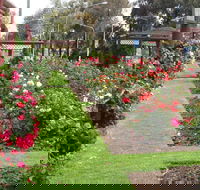 Cowra Rose Garden - Accommodation Directory