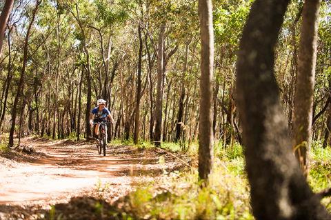 Davies Creek Mountain Bike Park - Accommodation Directory 1